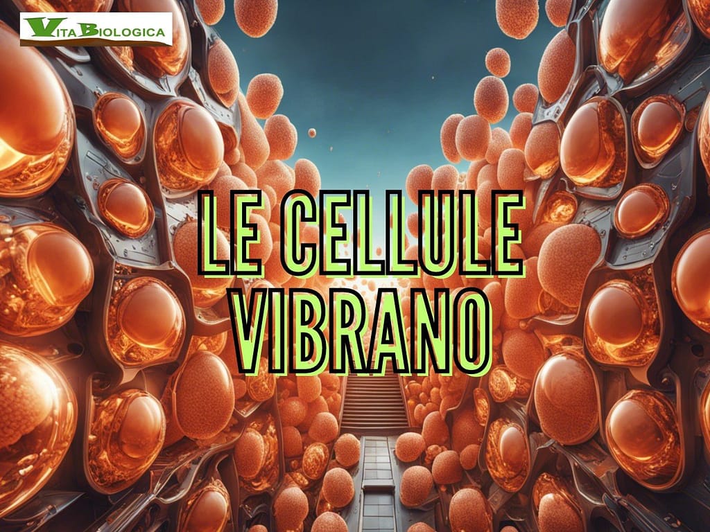 le cellule vibrano - vitabiologica.it